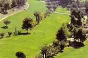 don_cayo_golf