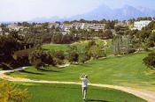 don_cayo_golf