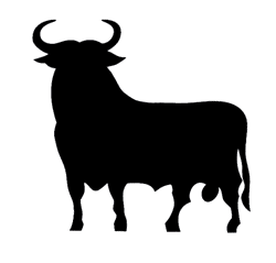 a black bull