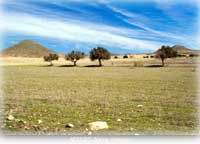 hotels apartments villas Almeria